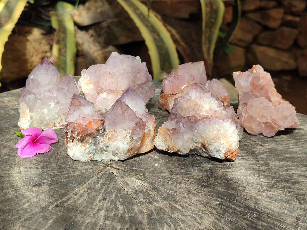 Natural Dark Amethyst Spirit Quartz Clusters x 6 From Boekenhouthoek, South Africa - Toprock Gemstones and Minerals 