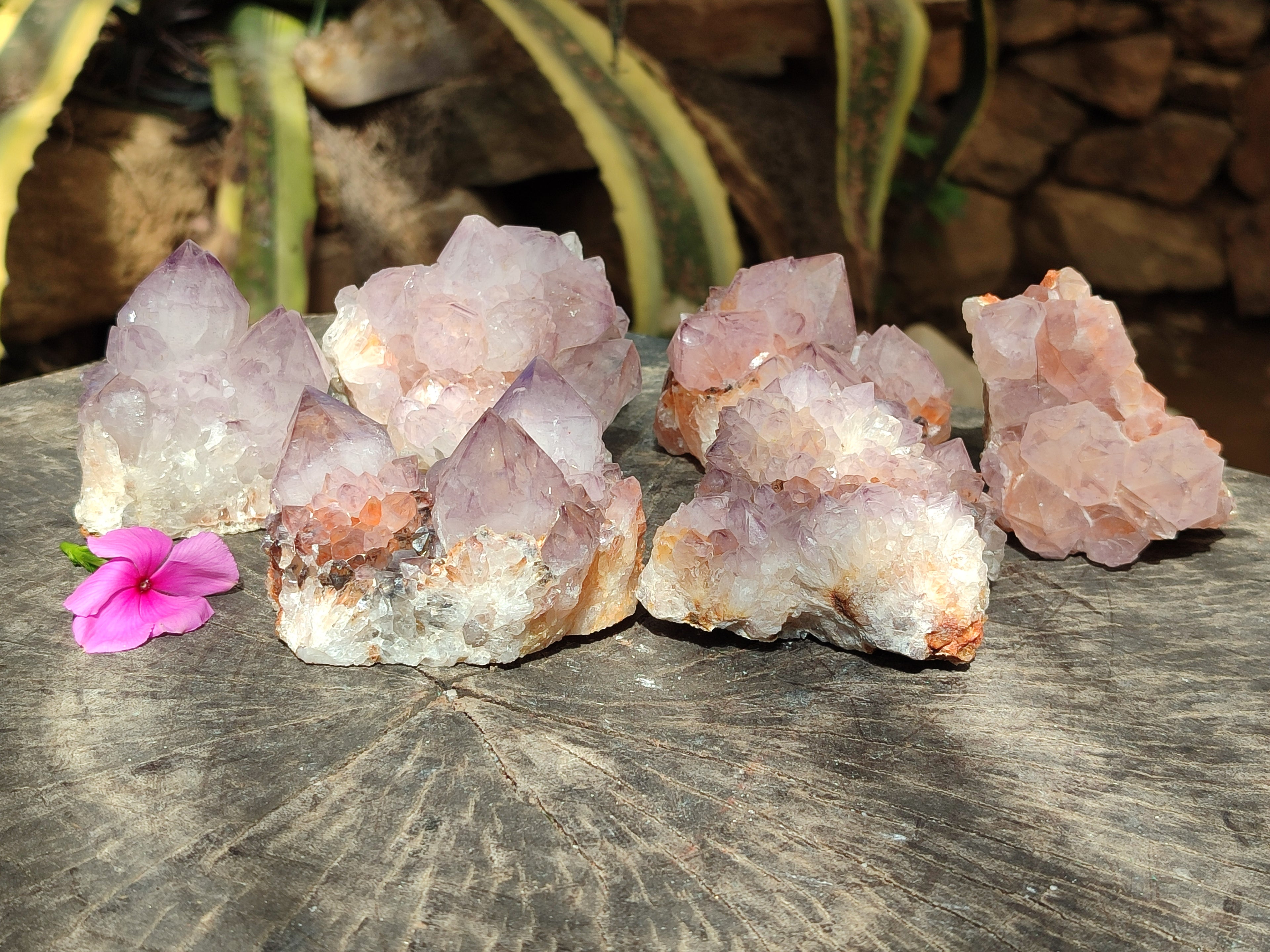 Natural Dark Amethyst Spirit Quartz Clusters x 6 From Boekenhouthoek, South Africa - Toprock Gemstones and Minerals 