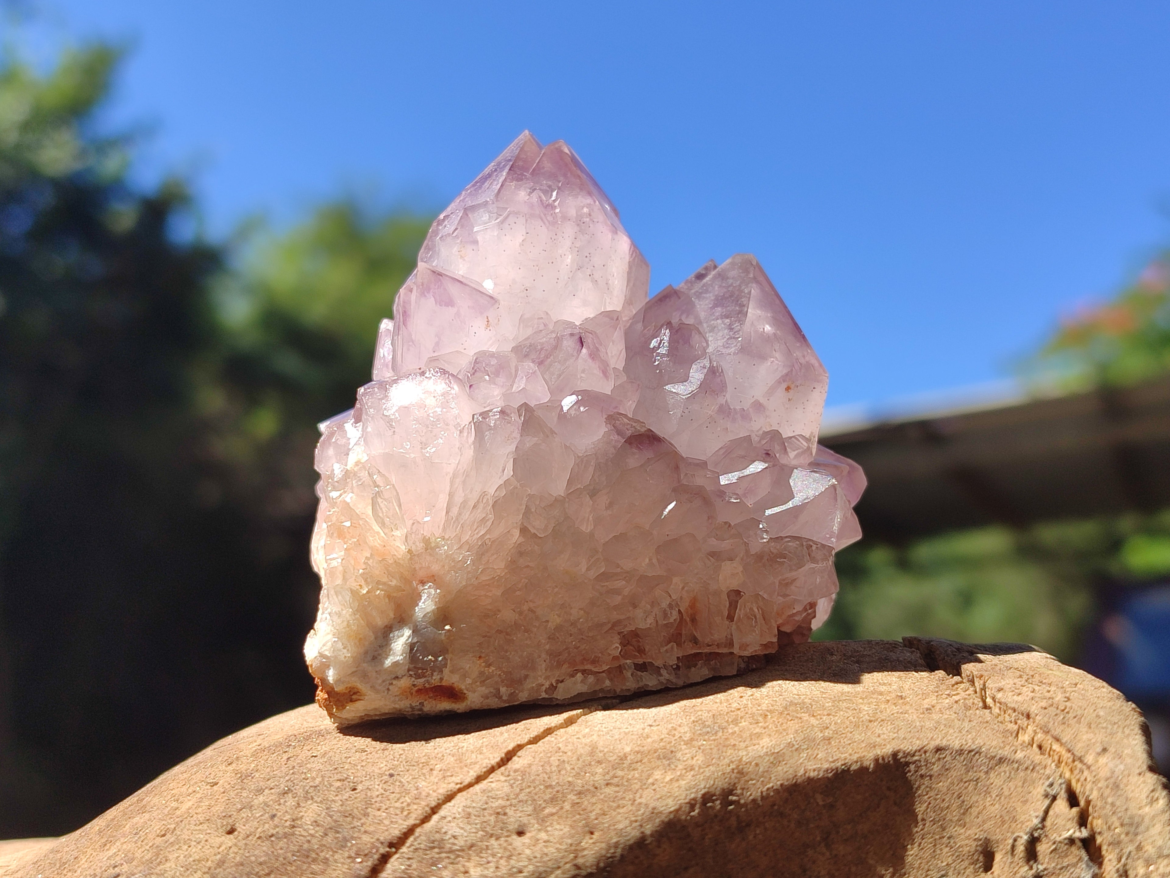 Natural Dark Amethyst Spirit Quartz Clusters x 6 From Boekenhouthoek, South Africa - Toprock Gemstones and Minerals 
