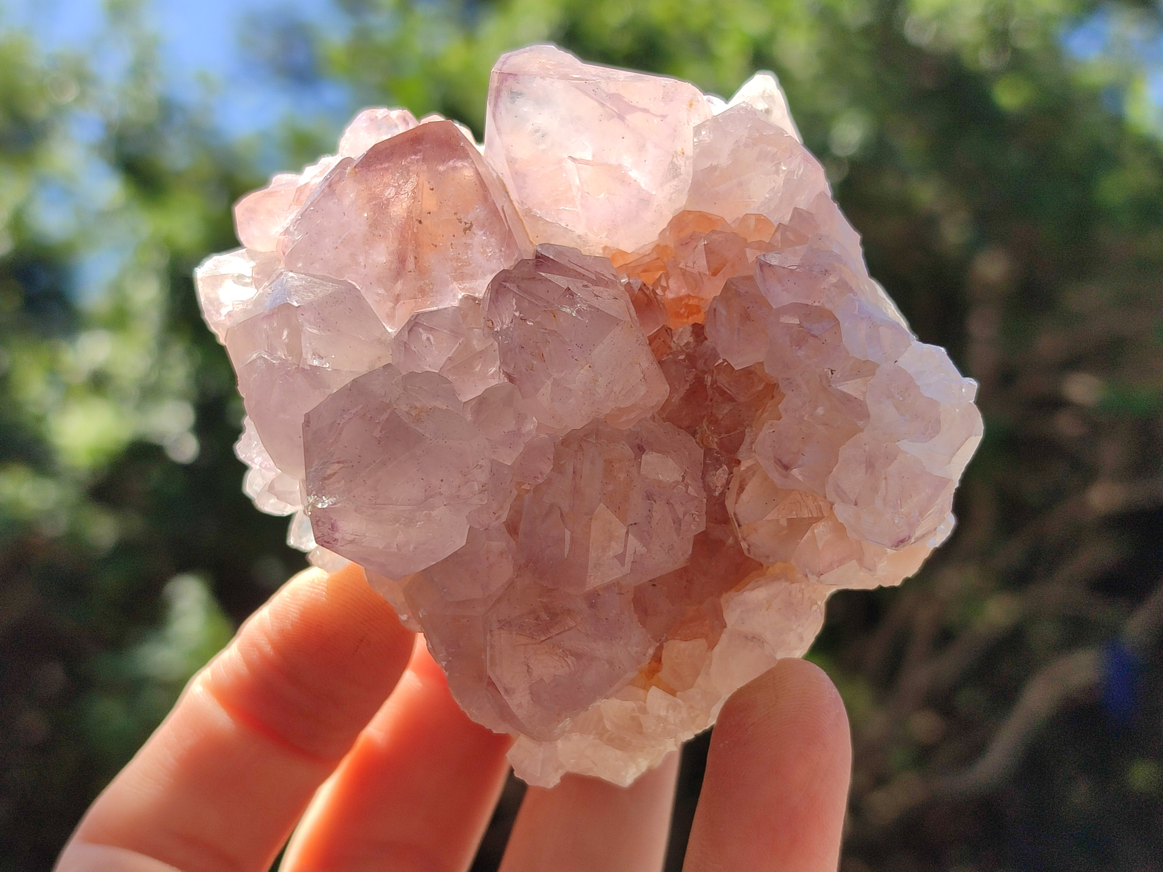 Natural Dark Amethyst Spirit Quartz Clusters x 6 From Boekenhouthoek, South Africa - Toprock Gemstones and Minerals 