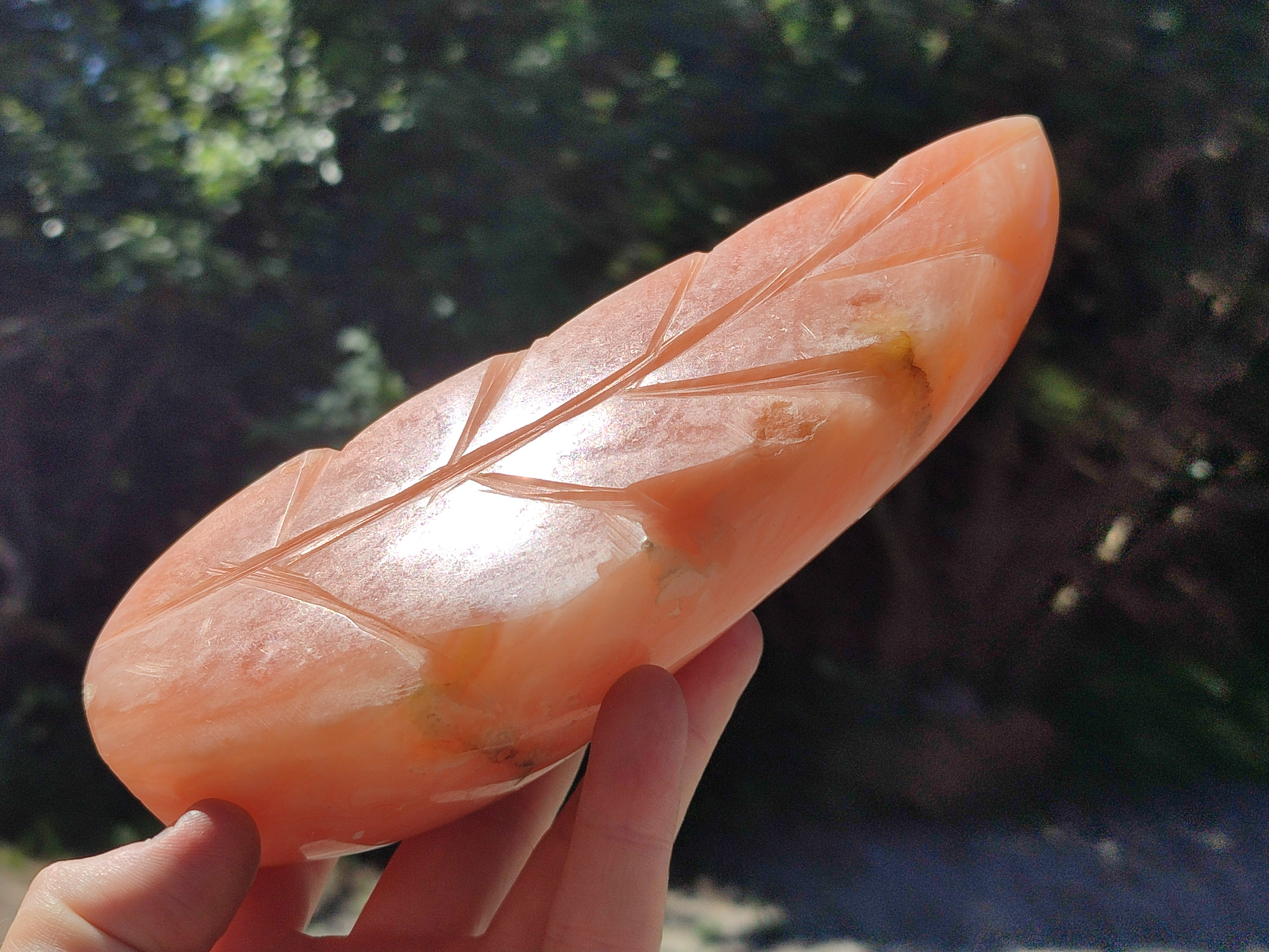 Polished Orange Twist Calcite Leaf Sculpture x 2 From Maevantanana, Madagascar - Toprock Gemstones and Minerals 