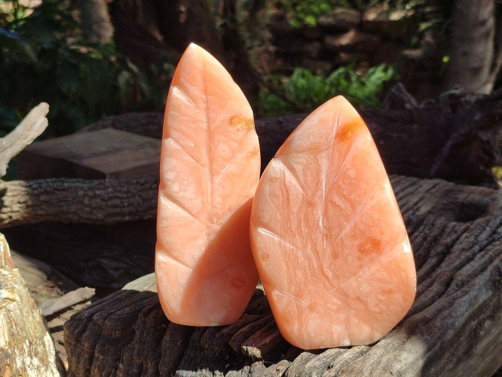 Polished Orange Twist Calcite Leaf Sculpture x 2 From Maevantanana, Madagascar - Toprock Gemstones and Minerals 