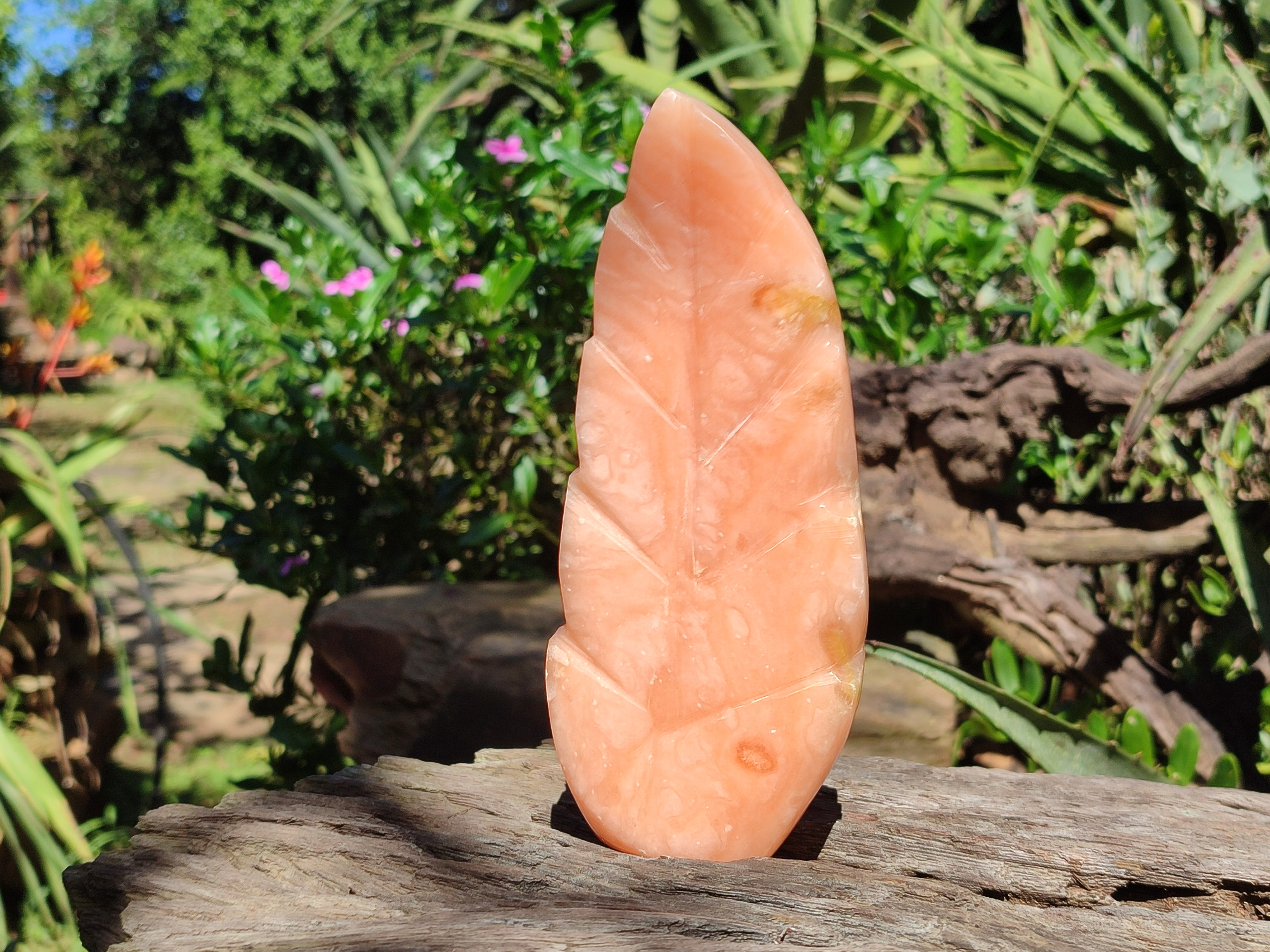 Polished Orange Twist Calcite Leaf Sculpture x 2 From Maevantanana, Madagascar - Toprock Gemstones and Minerals 
