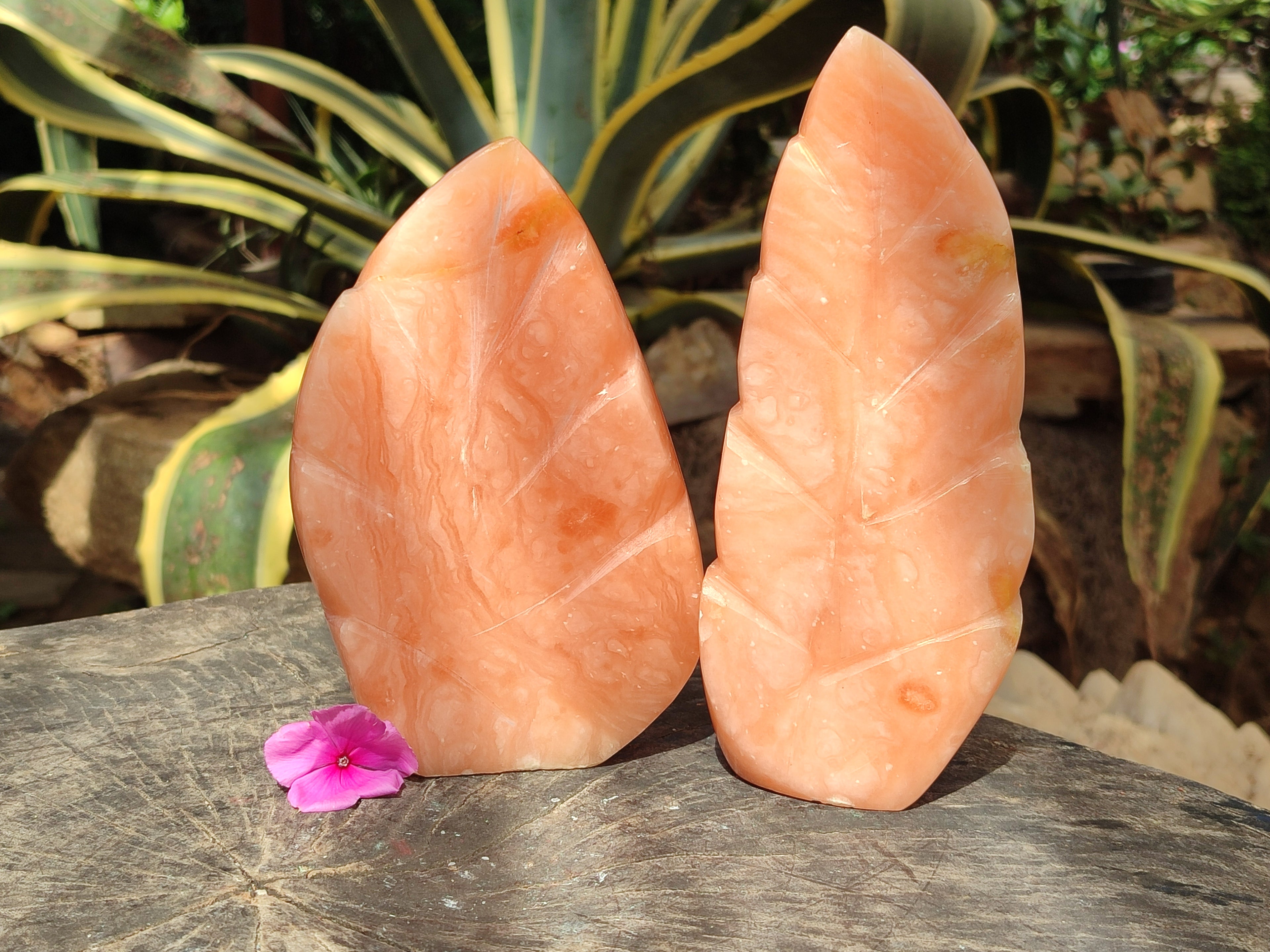 Polished Orange Twist Calcite Leaf Sculpture x 2 From Maevantanana, Madagascar - Toprock Gemstones and Minerals 