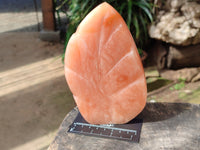 Polished Orange Twist Calcite Leaf Sculpture x 2 From Maevantanana, Madagascar