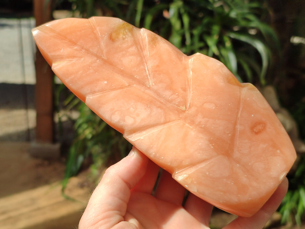 Polished Orange Twist Calcite Leaf Sculpture x 2 From Maevantanana, Madagascar - Toprock Gemstones and Minerals 