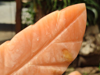 Polished Orange Twist Calcite Leaf Sculpture x 2 From Maevantanana, Madagascar