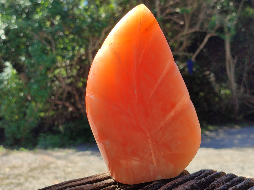 Polished Orange Twist Calcite Leaf Sculpture x 2 From Maevantanana, Madagascar - Toprock Gemstones and Minerals 