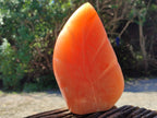 Polished Orange Twist Calcite Leaf Sculpture x 2 From Maevantanana, Madagascar - Toprock Gemstones and Minerals 