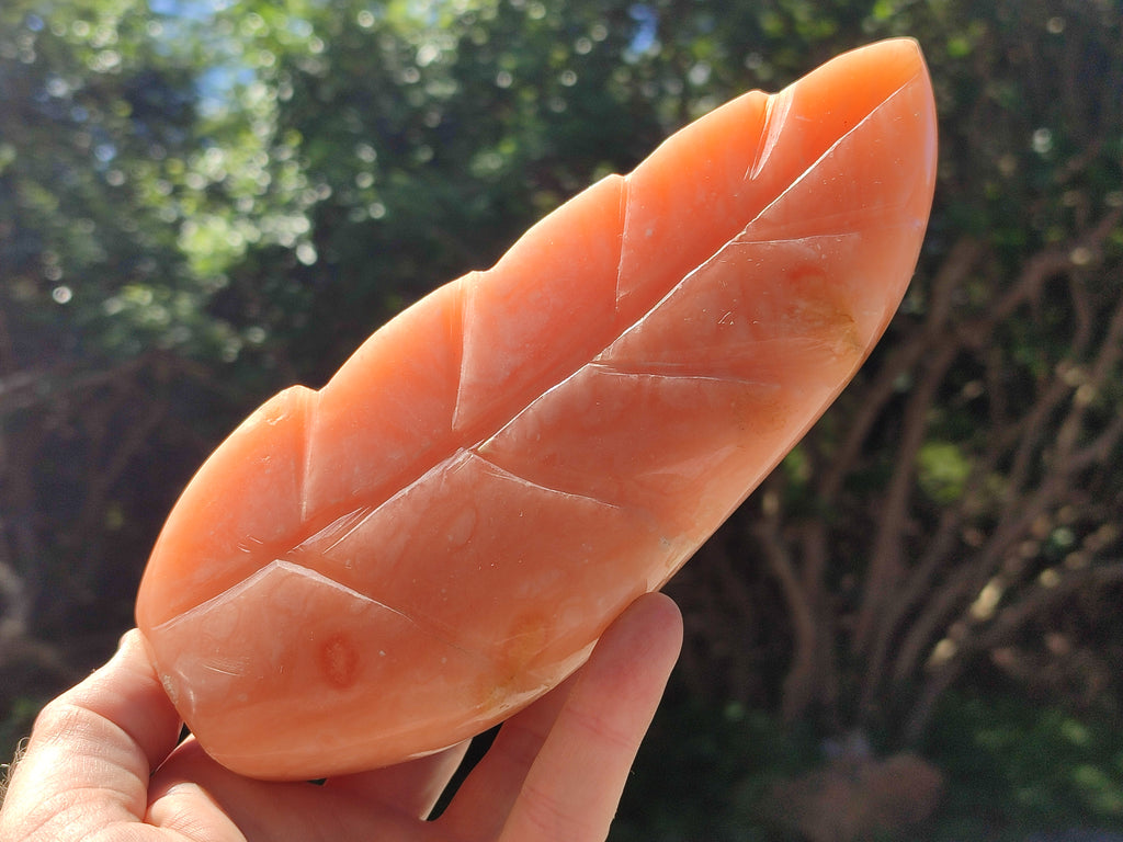 Polished Orange Twist Calcite Leaf Sculpture x 2 From Maevantanana, Madagascar - Toprock Gemstones and Minerals 