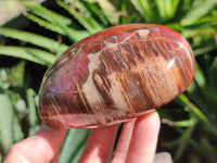 Polished Podocarpus Petrified Wood Hearts x 2 From Mahajanga, Madagascar