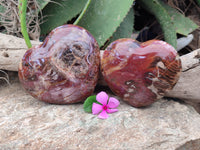 Polished Podocarpus Petrified Wood Hearts x 2 From Mahajanga, Madagascar