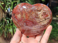 Polished Podocarpus Petrified Wood Hearts x 2 From Mahajanga, Madagascar