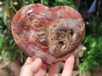 Polished Podocarpus Petrified Wood Hearts x 2 From Mahajanga, Madagascar