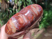 Polished Podocarpus Petrified Wood Hearts x 2 From Mahajanga, Madagascar