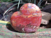 Polished Podocarpus Petrified Wood Hearts x 2 From Mahajanga, Madagascar