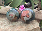 Polished Polychrome Jasper Spheres x 2 From Northwest Coast, Madagascar - Toprock Gemstones and Minerals 