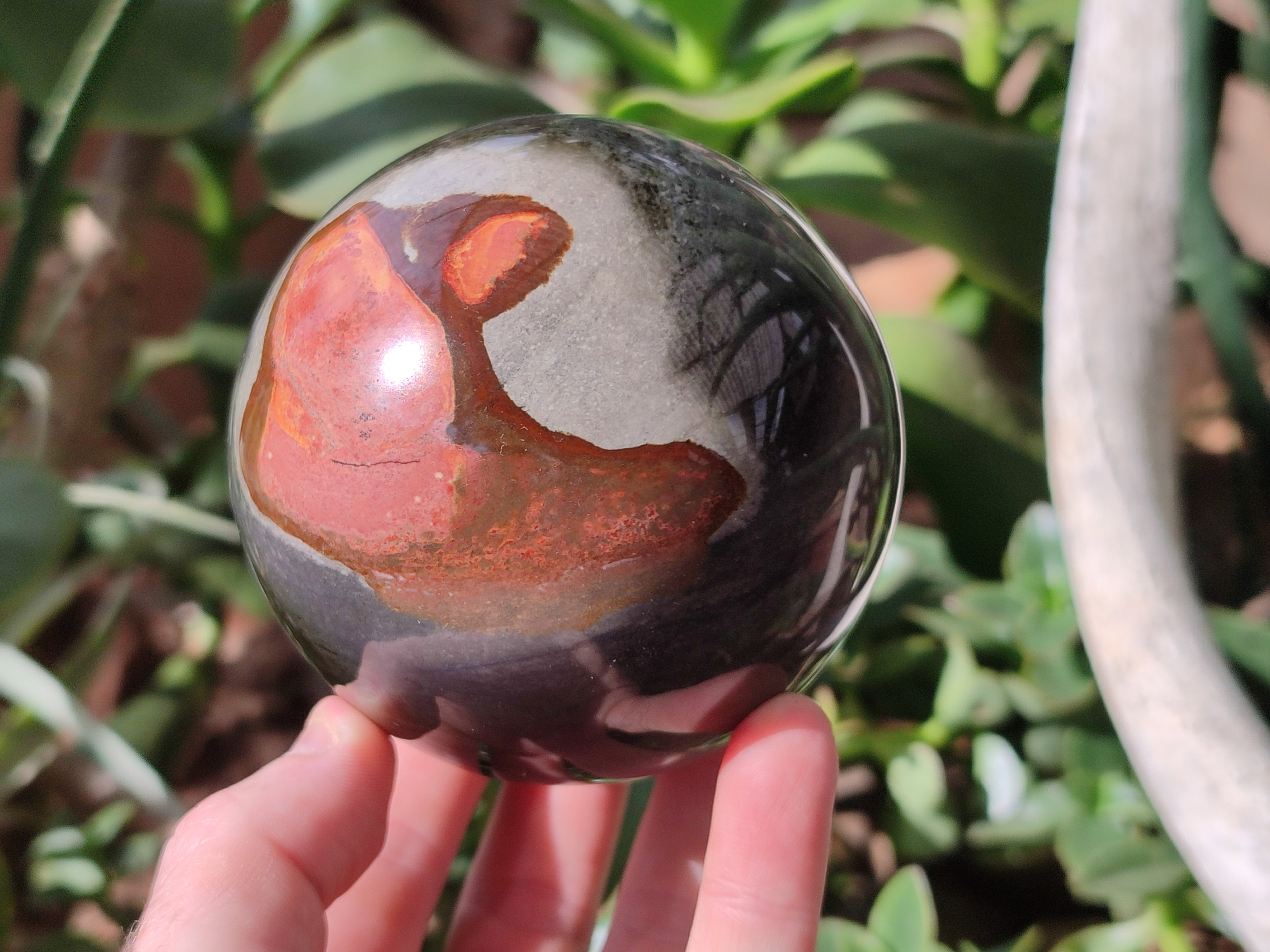 Polished Polychrome Jasper Spheres x 2 From Northwest Coast, Madagascar - Toprock Gemstones and Minerals 