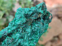 Natural Silky Malachite Specimens x 4 From Kasompe, Congo - Toprock Gemstones and Minerals 