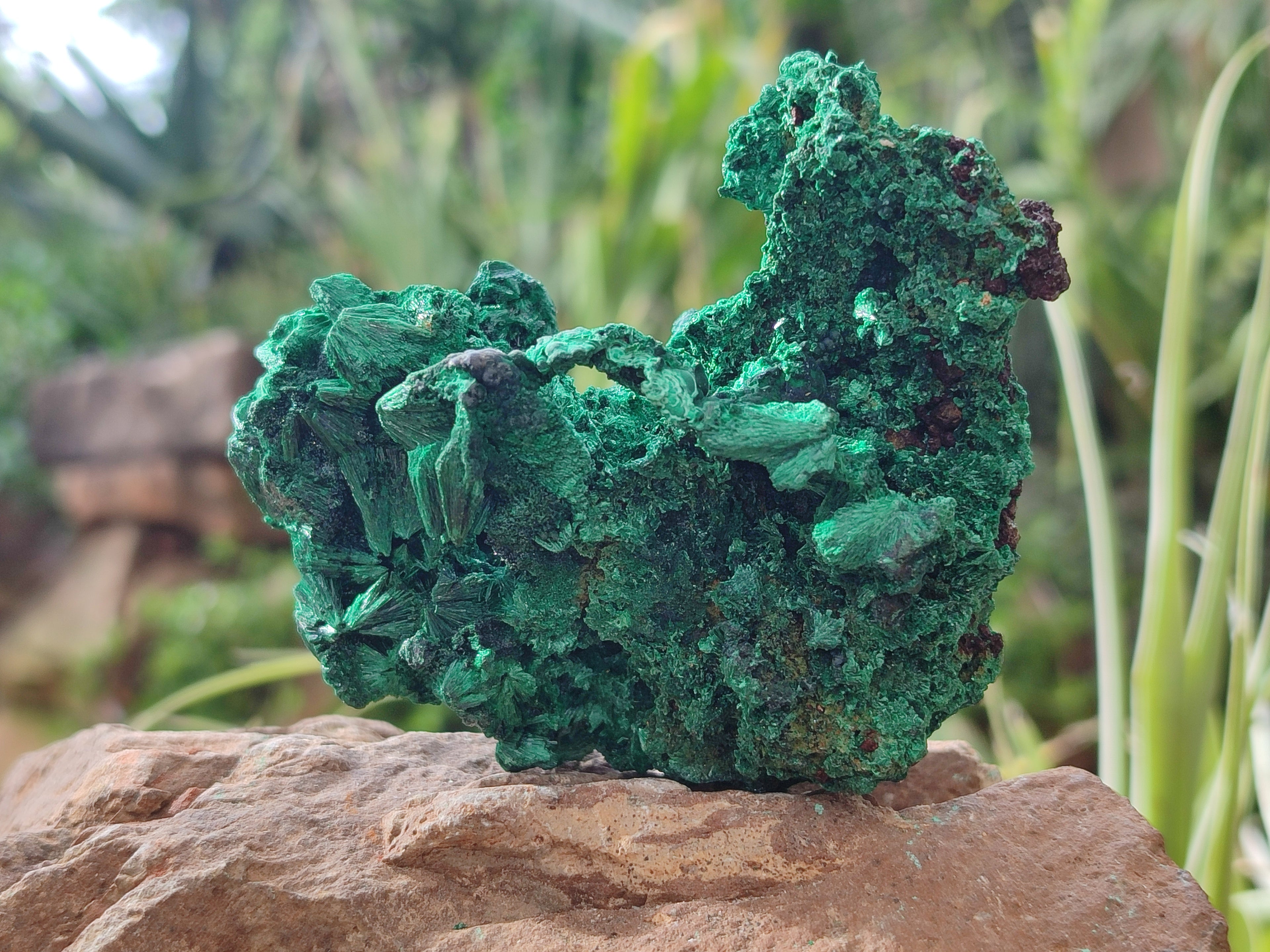 Natural Silky Malachite Specimens x 4 From Kasompe, Congo - Toprock Gemstones and Minerals 