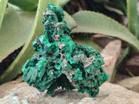 Natural Silky Malachite Specimens x 4 From Kasompe, Congo - Toprock Gemstones and Minerals 