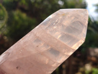 Polished Double Terminated Rose Quartz Points x 6 From Ambatondrazaka, Madagascar