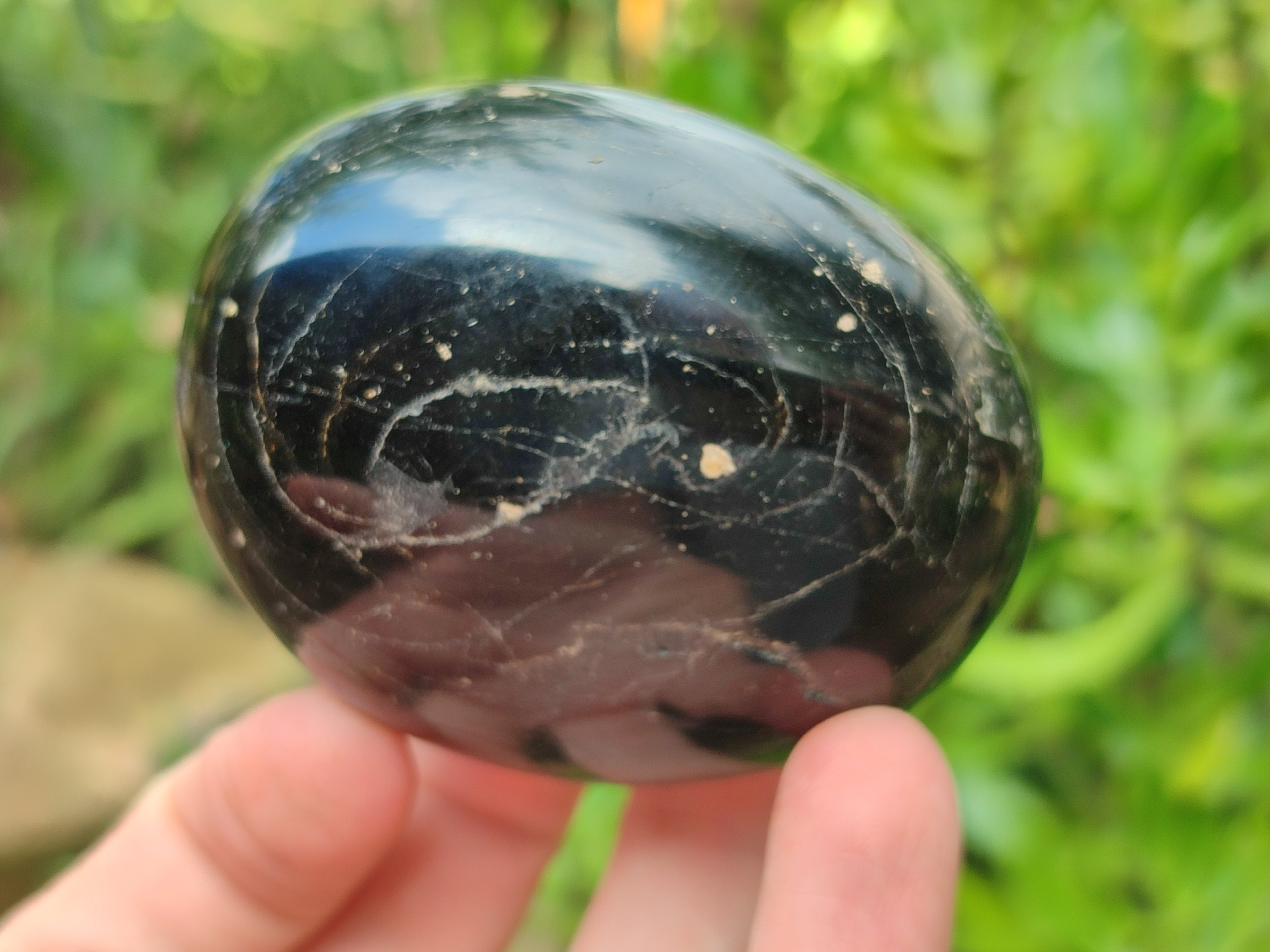 Polished Black Tourmaline Free Form x 4 From Madagascar - Toprock Gemstones and Minerals 