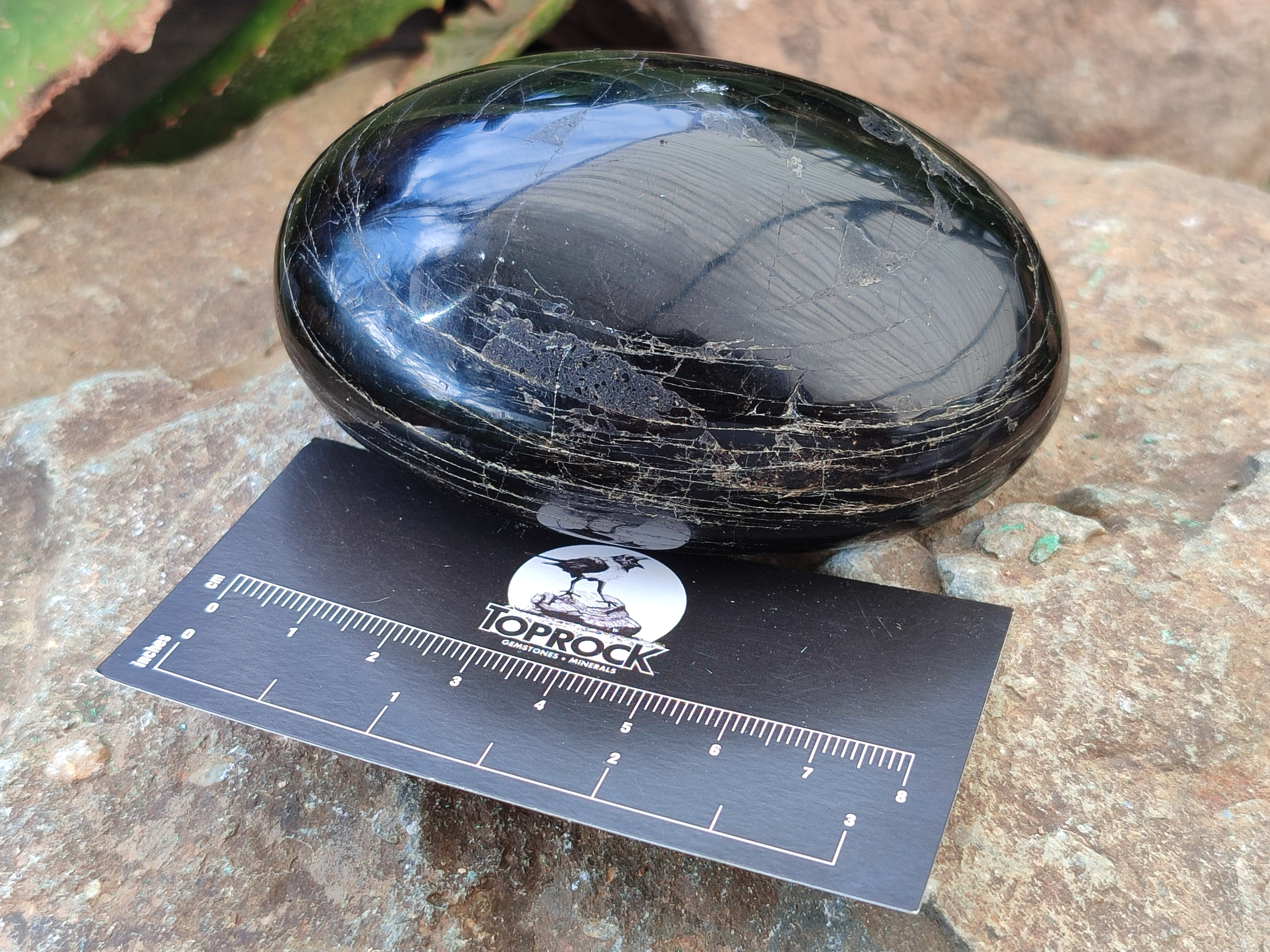 Polished Black Tourmaline Free Form x 4 From Madagascar - Toprock Gemstones and Minerals 