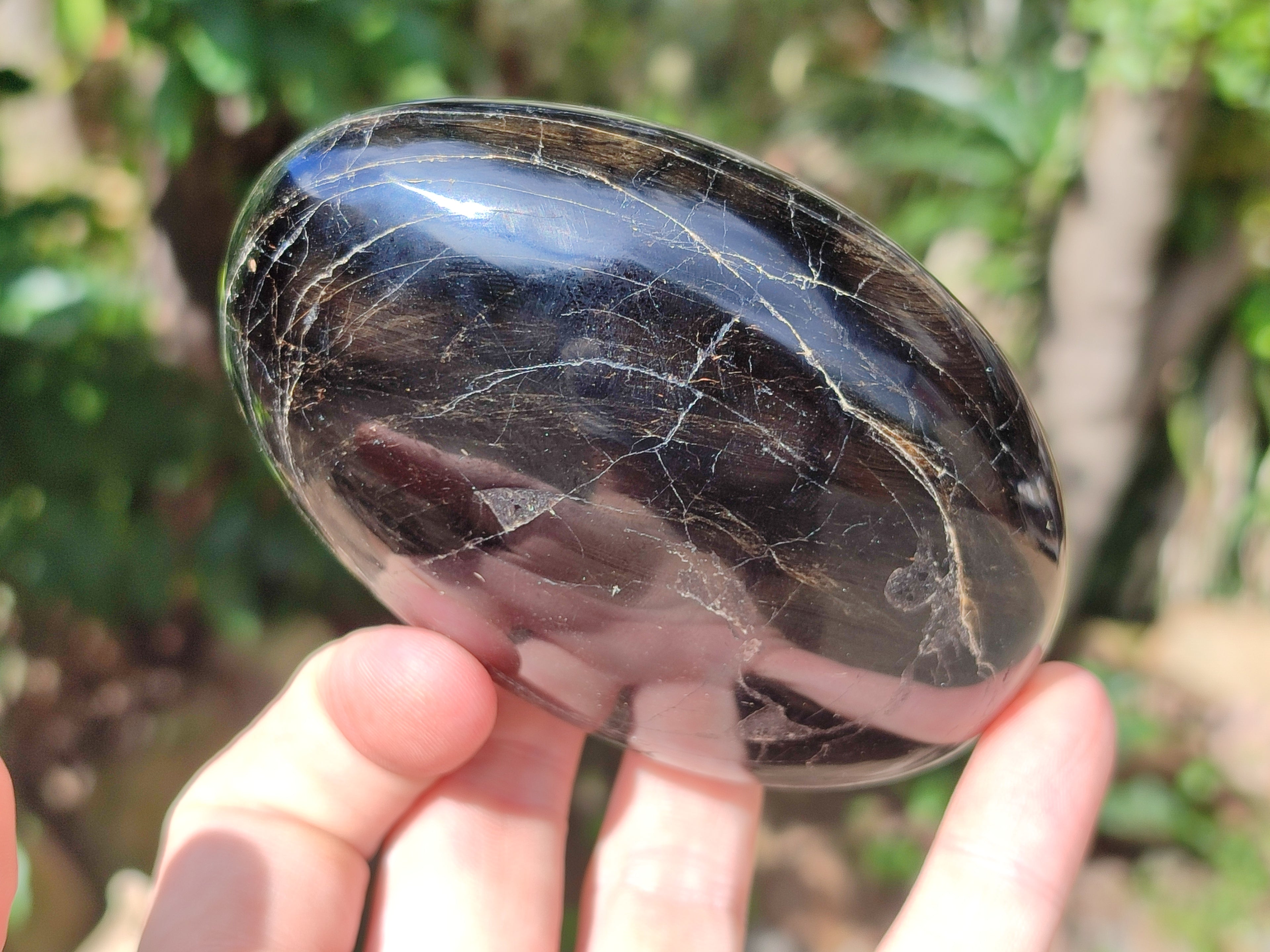 Polished Black Tourmaline Free Form x 4 From Madagascar - Toprock Gemstones and Minerals 