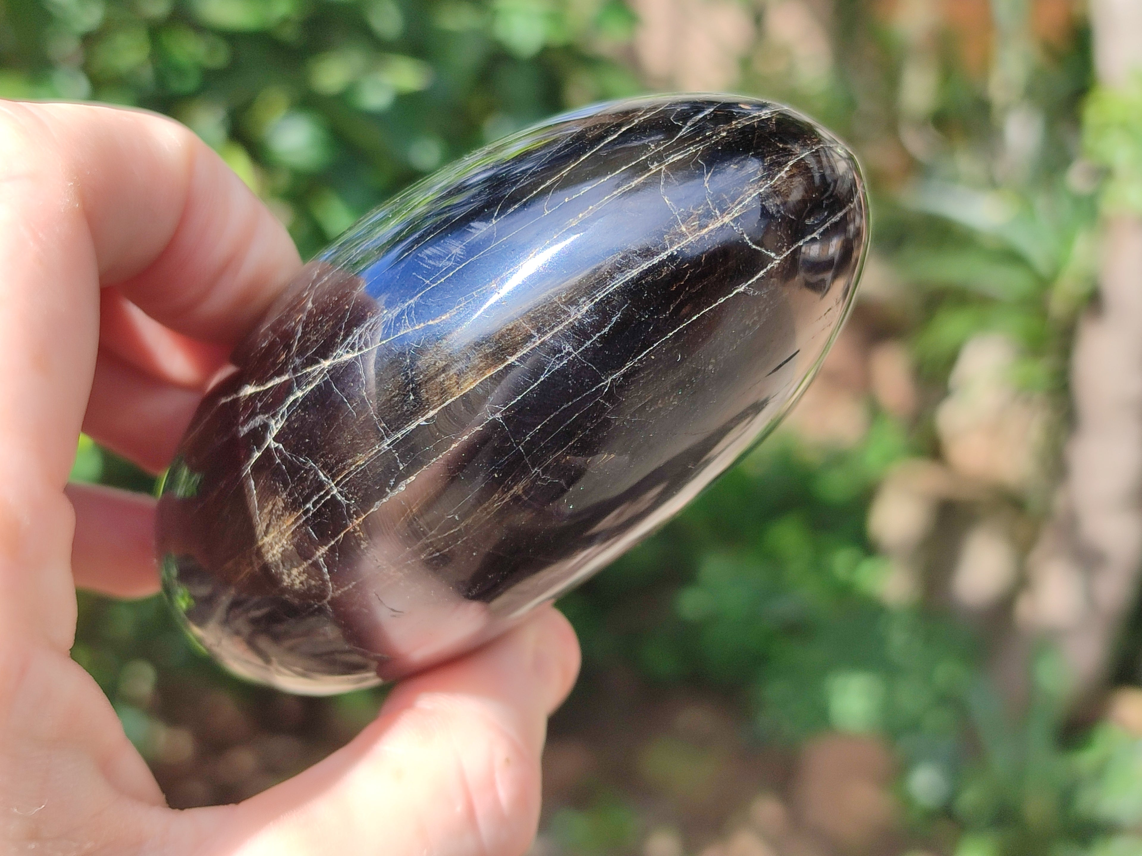 Polished Black Tourmaline Free Form x 4 From Madagascar - Toprock Gemstones and Minerals 