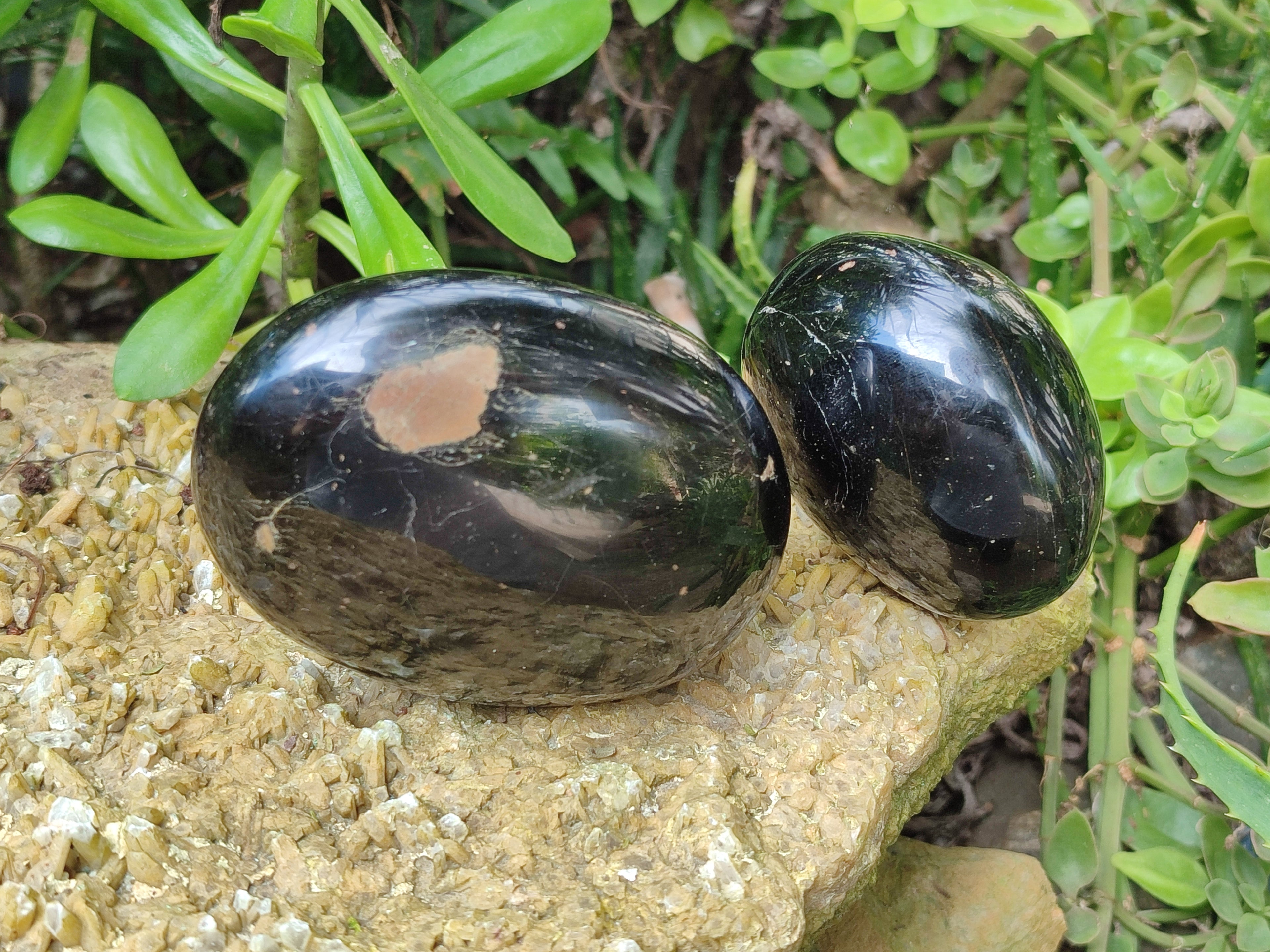 Polished Black Tourmaline Free Form x 4 From Madagascar - Toprock Gemstones and Minerals 