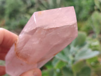 Polished Double Terminated Rose Quartz Points x 6 From Ambatondrazaka, Madagascar
