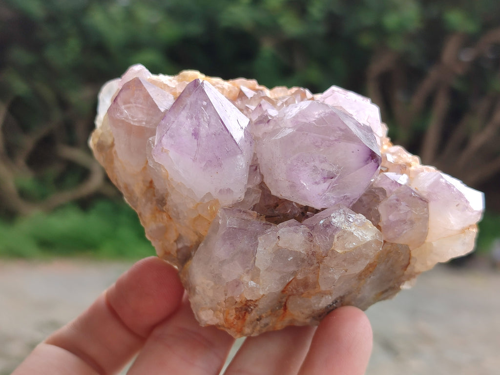 Natural Ametrine Spirit Quartz Clusters x 4 From Boekenhouthoek, South Africa - Toprock Gemstones and Minerals 