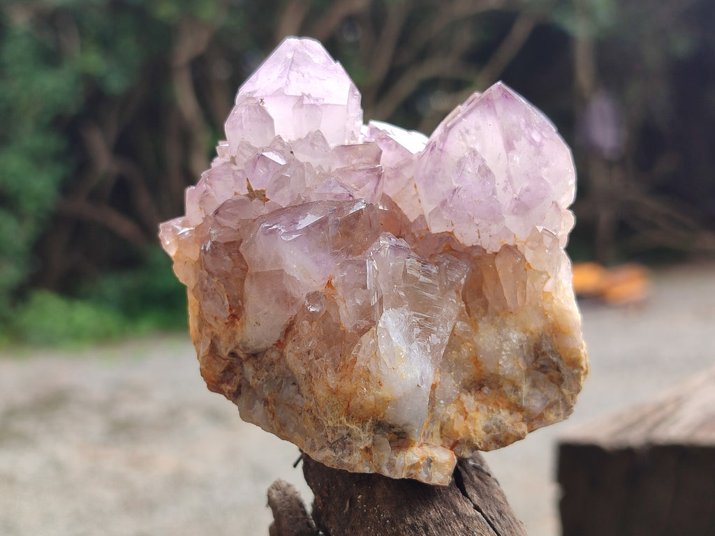 Natural Ametrine Spirit Quartz Clusters x 4 From Boekenhouthoek, South Africa - Toprock Gemstones and Minerals 