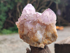 Natural Ametrine Spirit Quartz Clusters x 4 From Boekenhouthoek, South Africa - Toprock Gemstones and Minerals 