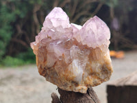 Natural Ametrine Spirit Quartz Clusters x 4 From Boekenhouthoek, South Africa