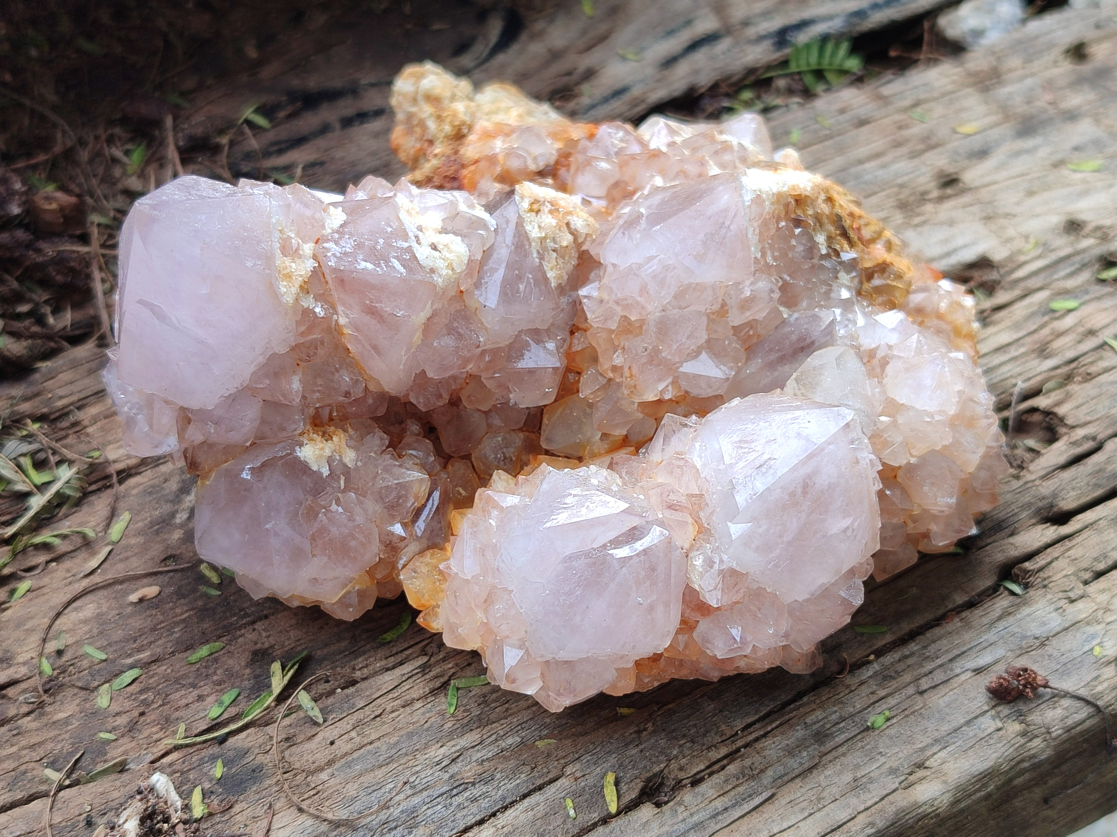 Natural Ametrine Spirit Quartz Clusters x 4 From Boekenhouthoek, South Africa - Toprock Gemstones and Minerals 