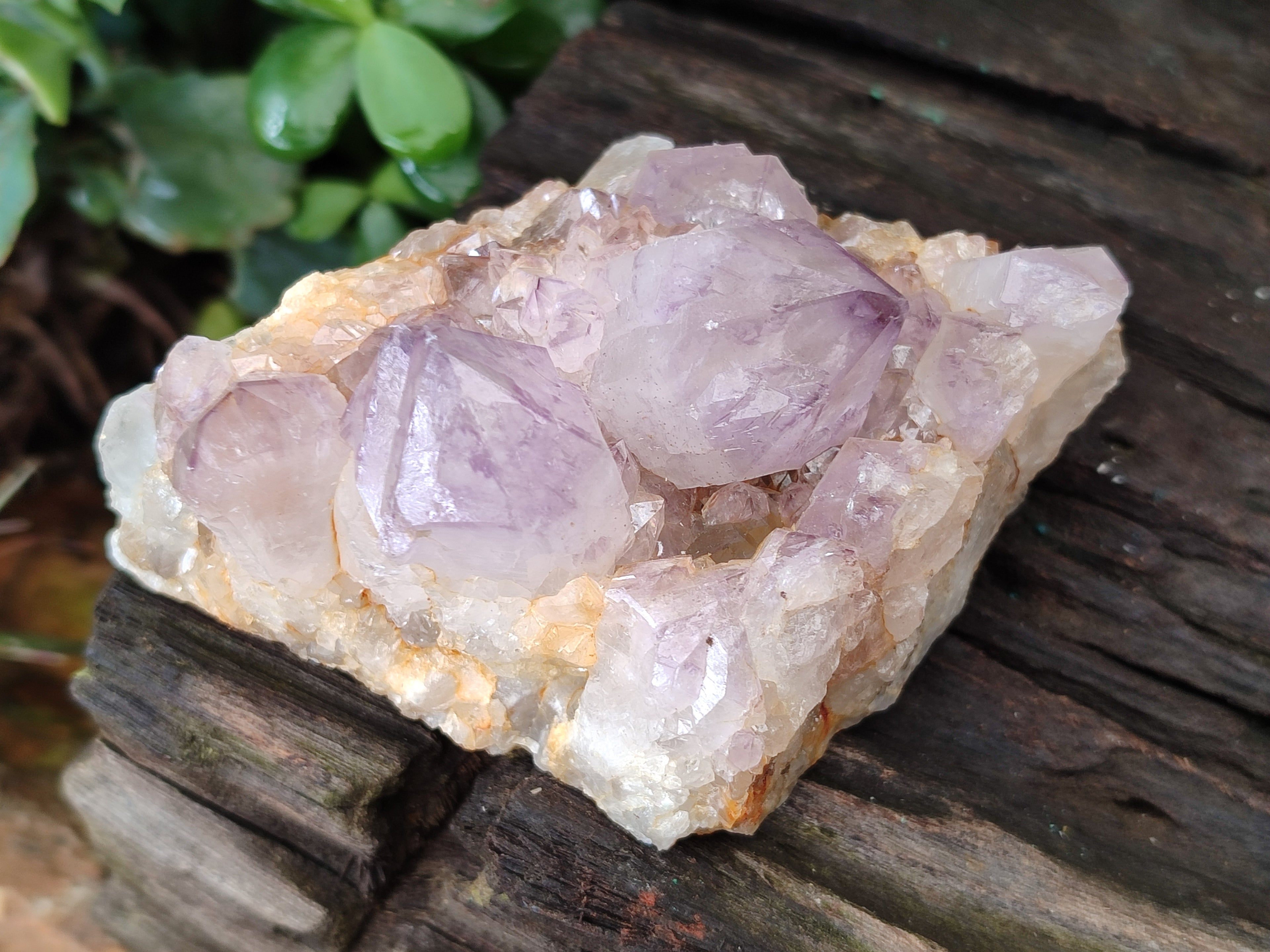 Natural Ametrine Spirit Quartz Clusters x 4 From Boekenhouthoek, South Africa - Toprock Gemstones and Minerals 