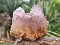Natural Ametrine Spirit Quartz Clusters x 4 From Boekenhouthoek, South Africa