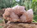 Natural Ametrine Spirit Quartz Clusters x 4 From Boekenhouthoek, South Africa - Toprock Gemstones and Minerals 