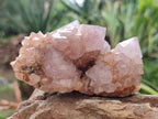 Natural Ametrine Spirit Quartz Clusters x 4 From Boekenhouthoek, South Africa - Toprock Gemstones and Minerals 