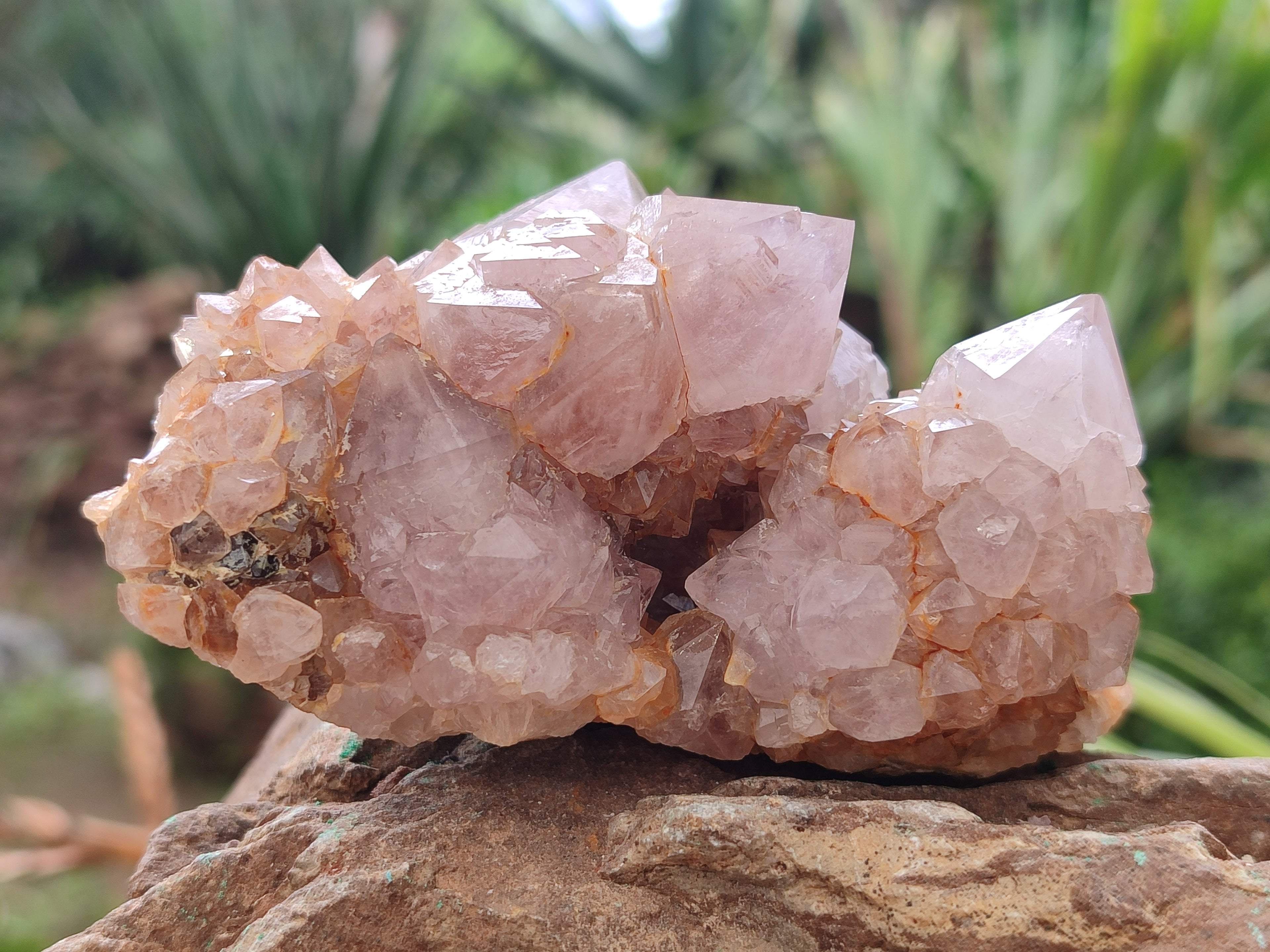 Natural Ametrine Spirit Quartz Clusters x 4 From Boekenhouthoek, South Africa - Toprock Gemstones and Minerals 