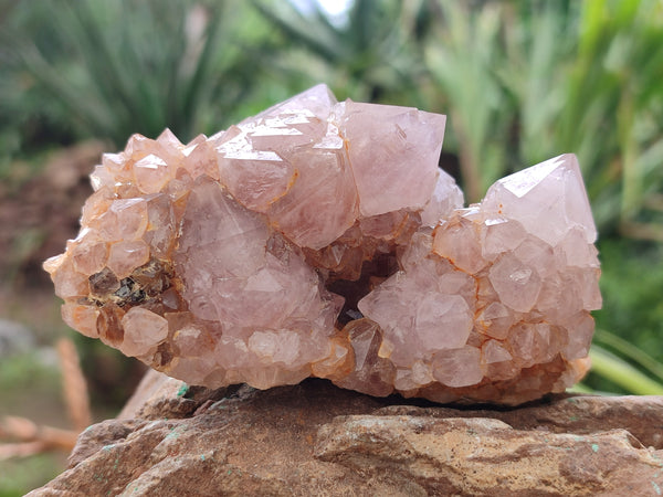 Natural Ametrine Spirit Quartz Clusters x 4 From Boekenhouthoek, South Africa