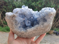 Natural Celestite Geode Specimen x 1 From Sakoany, Madagascar