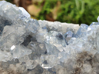 Natural Celestite Geode Specimen x 1 From Sakoany, Madagascar
