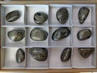 Polished Rare Pharaoh Stone Pyrite in Basalt Free Forms x 12 Iron Duke Mine, Zimbabwe - Toprock Gemstones and Minerals 