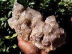 Natural Smokey Phantom Quartz Clusters x 1 From Luena, Congo - Toprock Gemstones and Minerals 