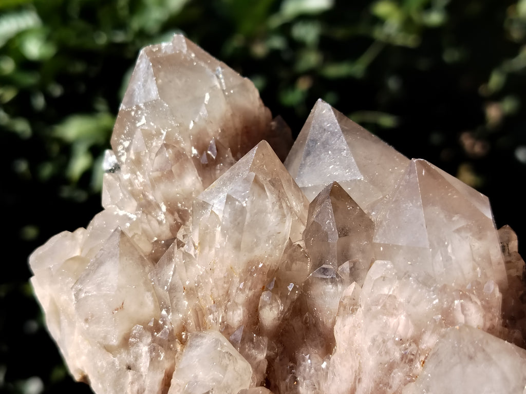 Natural Smokey Phantom Quartz Clusters x 1 From Luena, Congo - Toprock Gemstones and Minerals 