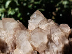 Natural Smokey Phantom Quartz Clusters x 1 From Luena, Congo - Toprock Gemstones and Minerals 