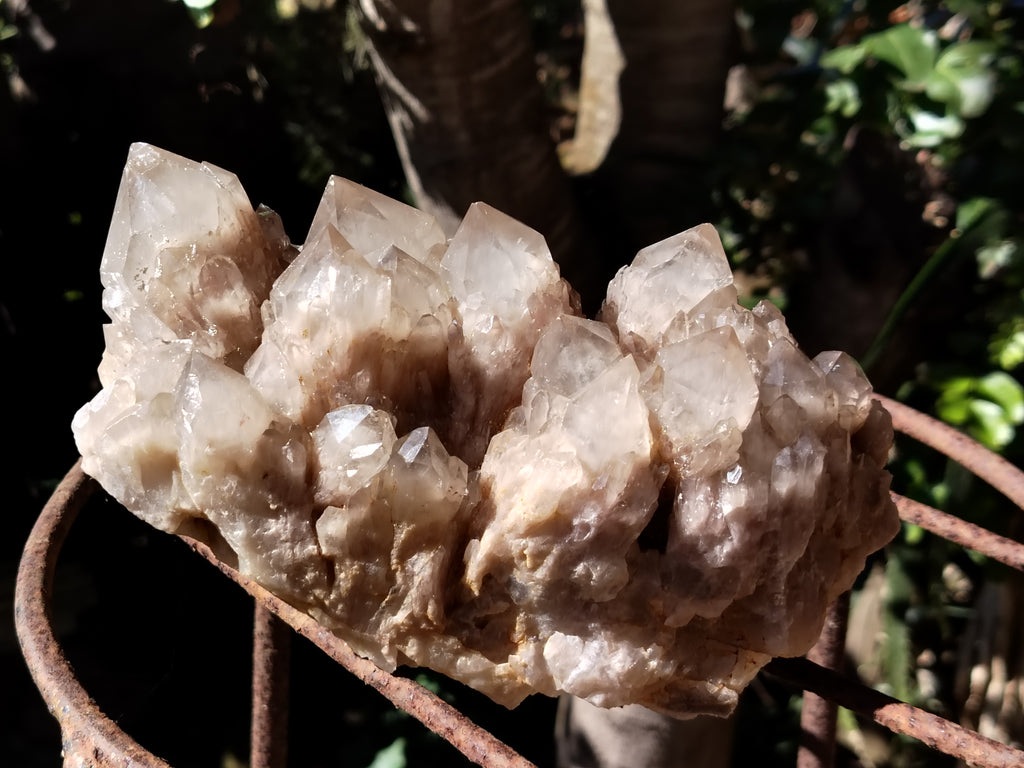 Natural Smokey Phantom Quartz Clusters x 1 From Luena, Congo - Toprock Gemstones and Minerals 